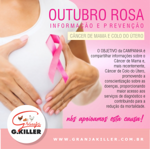 Outubro Rosa Cancer Colo De Utero Management And Leadership