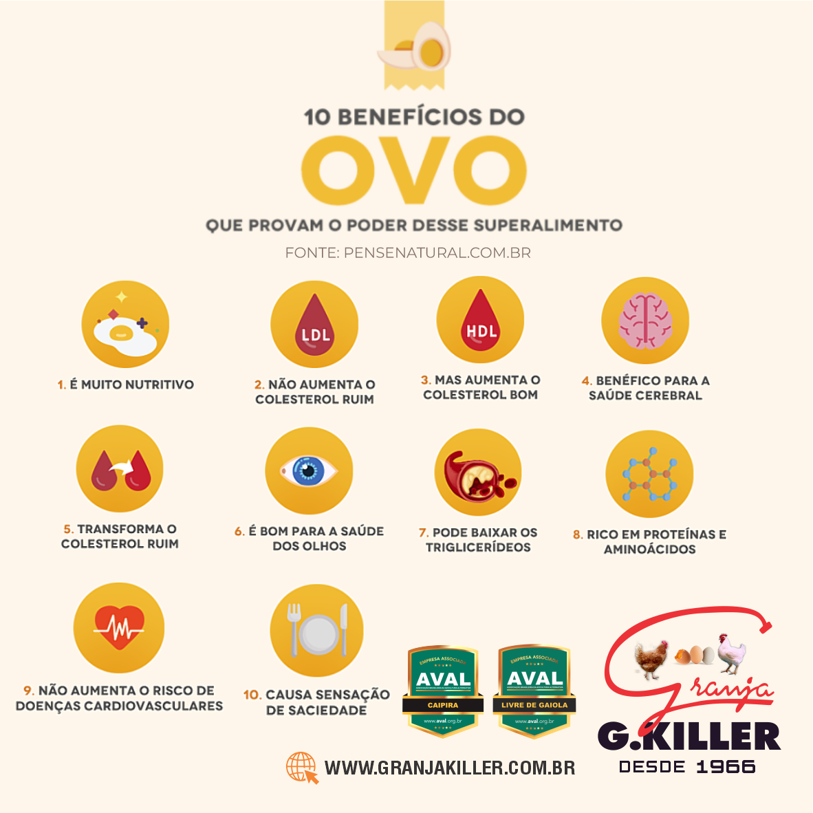 10 Benefícios do Ovo que Provam o poder desse superalimento